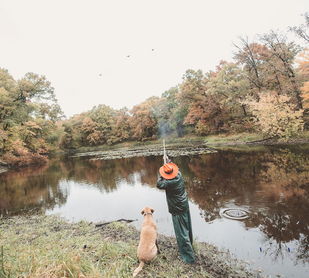 Game Preserve Hunts May Be Just What a Gun Dog Needs